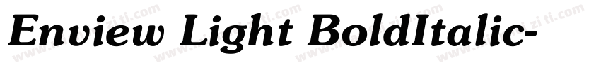Enview Light BoldItalic字体转换